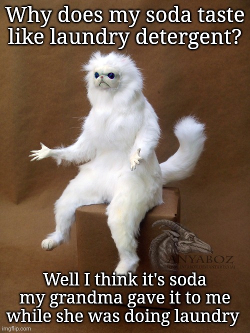 Persian Cat Room Guardian Single Meme | Why does my soda taste like laundry detergent? Well I think it's soda my grandma gave it to me while she was doing laundry | image tagged in memes,persian cat room guardian single,hmmmmmmm | made w/ Imgflip meme maker