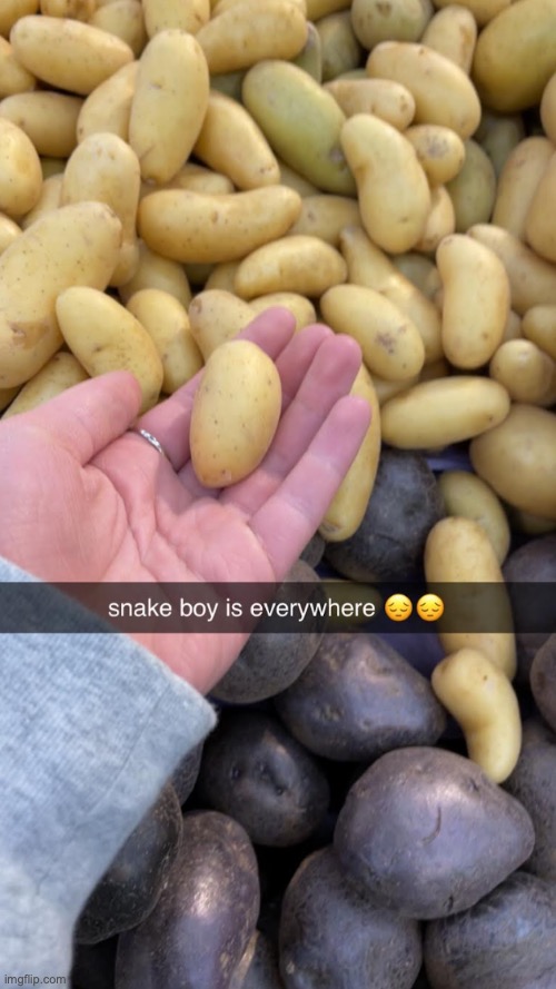 hes gonna yell at me in dms or sum for this one :skull: sorryyy the image is just burned into my mind whenever i see tiny things | image tagged in specifically,under three,or two,inches | made w/ Imgflip meme maker