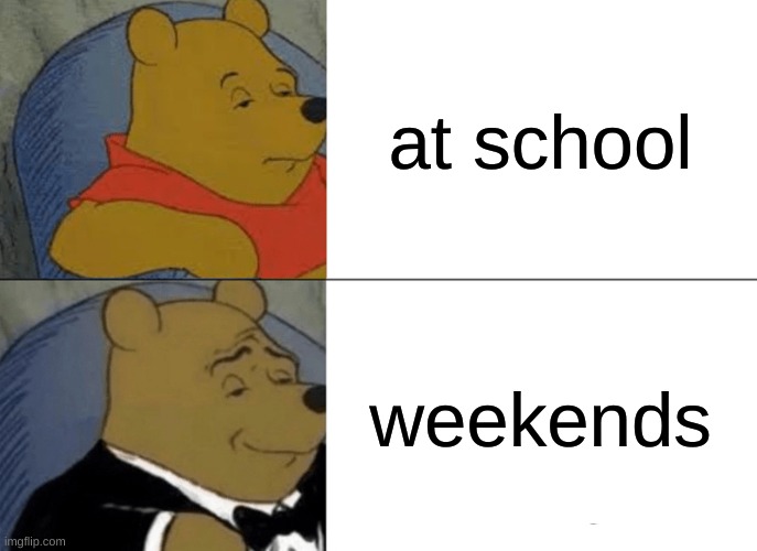 the diffrence | at school; weekends | image tagged in memes,tuxedo winnie the pooh | made w/ Imgflip meme maker