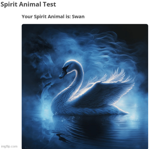 swans are cool :thumbup: | made w/ Imgflip meme maker