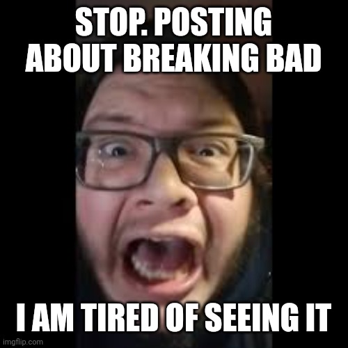 STOP. POSTING. ABOUT AMONG US | STOP. POSTING ABOUT BREAKING BAD; I AM TIRED OF SEEING IT | image tagged in stop posting about among us | made w/ Imgflip meme maker