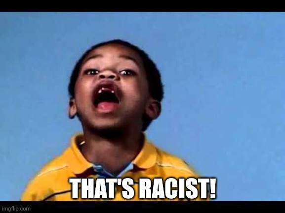 That's racist 2 | THAT'S RACIST! | image tagged in that's racist 2 | made w/ Imgflip meme maker
