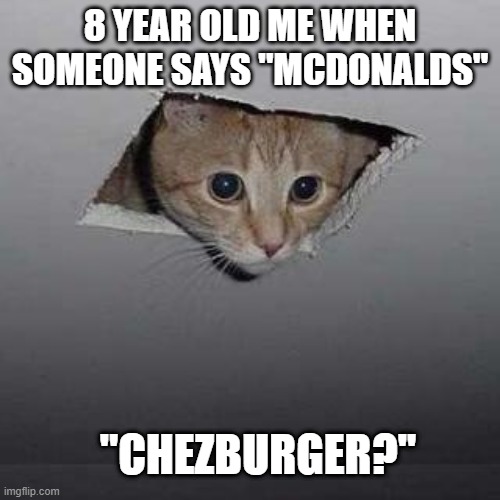 Ceiling Cat Meme | 8 YEAR OLD ME WHEN SOMEONE SAYS "MCDONALDS"; "CHEZBURGER?'' | image tagged in memes,ceiling cat | made w/ Imgflip meme maker