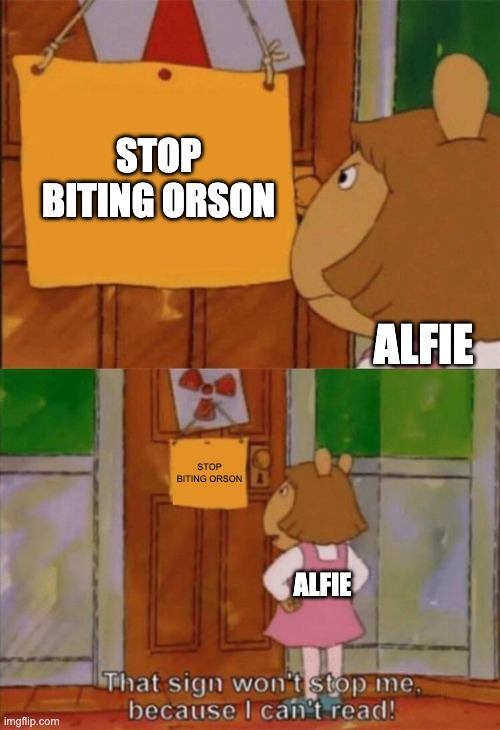 DW Sign Won't Stop Me Because I Can't Read | STOP BITING ORSON; ALFIE; STOP BITING ORSON; ALFIE | image tagged in dw sign won't stop me because i can't read | made w/ Imgflip meme maker