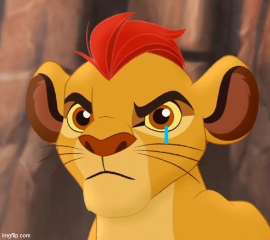 Kion crying (Real) | image tagged in angry kion | made w/ Imgflip meme maker