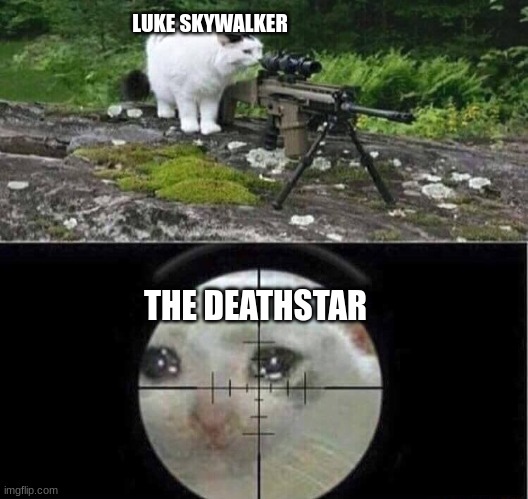 Star wars | LUKE SKYWALKER; THE DEATHSTAR | image tagged in sniper cat | made w/ Imgflip meme maker