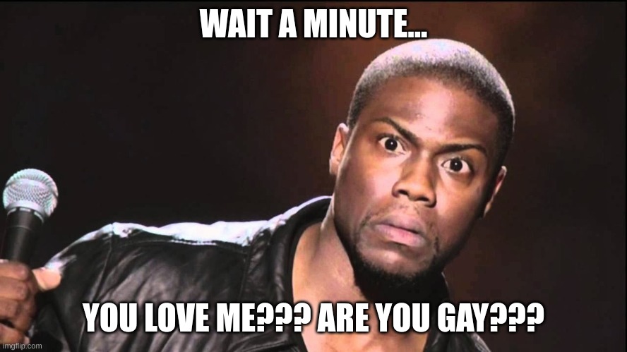 Wait What? | WAIT A MINUTE... YOU LOVE ME??? ARE YOU GAY??? | image tagged in wait what | made w/ Imgflip meme maker