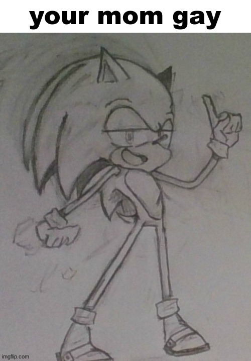 sonic said | your mom gay | made w/ Imgflip meme maker