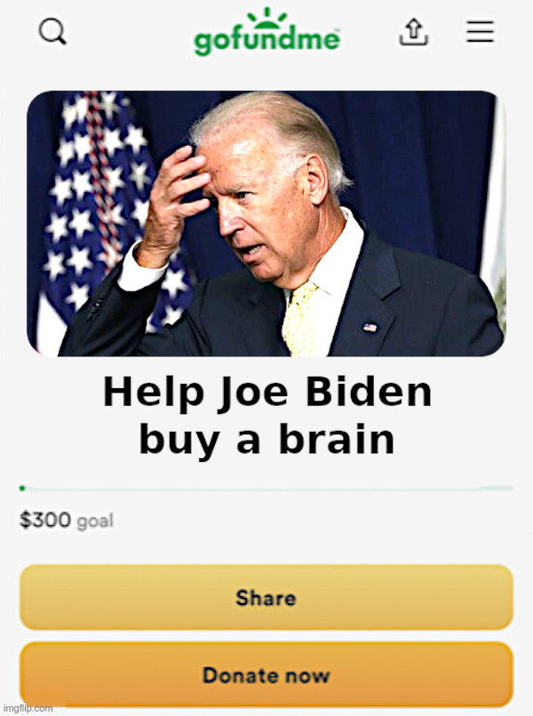 Help Joe Biden Buy a Brain | image tagged in clueless,joe biden,brain,dead,woke,liberal | made w/ Imgflip meme maker