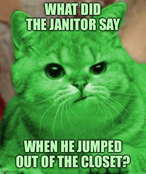 Wrong answers only… | WHAT DID THE JANITOR SAY; WHEN HE JUMPED OUT OF THE CLOSET? | image tagged in raycat annoyed,memes,raycat | made w/ Imgflip meme maker