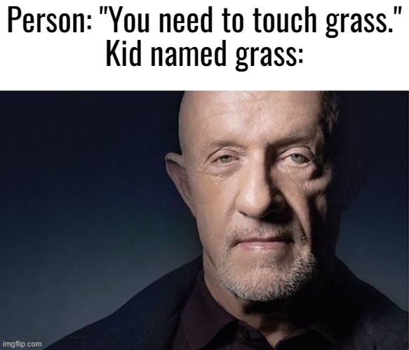Kid Named | Person: "You need to touch grass."
Kid named grass: | image tagged in kid named | made w/ Imgflip meme maker