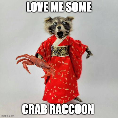 crab raccoon | LOVE ME SOME; CRAB RACCOON | image tagged in crab raccoon humor | made w/ Imgflip meme maker