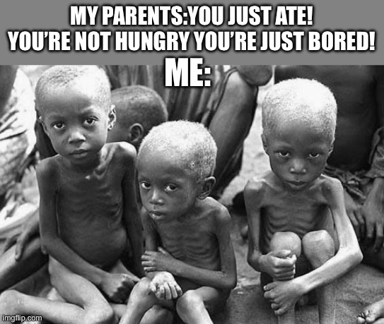 starving africans | MY PARENTS:YOU JUST ATE! YOU’RE NOT HUNGRY YOU’RE JUST BORED! ME: | image tagged in starving africans | made w/ Imgflip meme maker