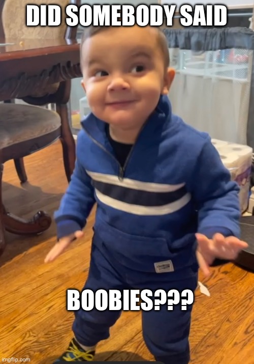 I heard the word!!! | DID SOMEBODY SAID; BOOBIES??? | image tagged in baby | made w/ Imgflip meme maker
