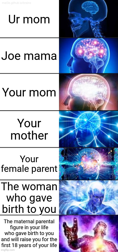 I was bored, okay- | Ur mom; Joe mama; Your mom; Your mother; Your female parent; The woman who gave birth to you; The maternal parental figure in your life who gave birth to you and will raise you for the first 18 years of your life | image tagged in 7-tier expanding brain | made w/ Imgflip meme maker
