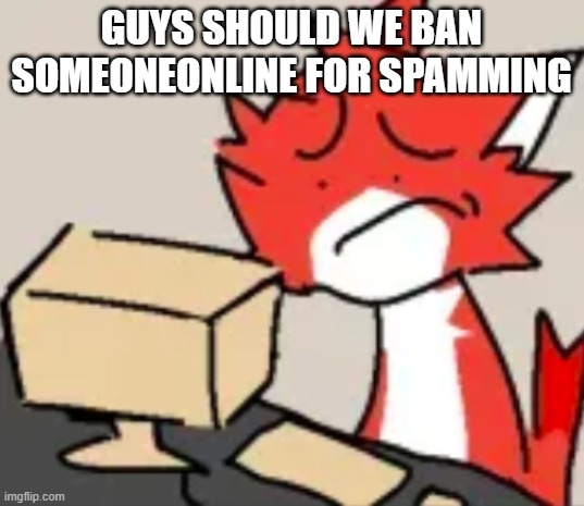 distraught | GUYS SHOULD WE BAN SOMEONEONLINE FOR SPAMMING | image tagged in distraught | made w/ Imgflip meme maker