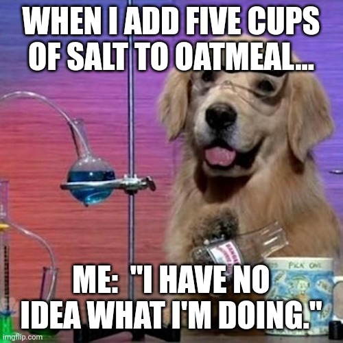 Salty oatmeal | WHEN I ADD FIVE CUPS OF SALT TO OATMEAL... ME:  "I HAVE NO IDEA WHAT I'M DOING." | image tagged in memes,i have no idea what i am doing dog | made w/ Imgflip meme maker