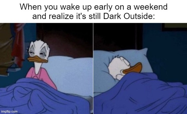 Nah, I rather go to sleep instead. | When you wake up early on a weekend and realize it's still Dark Outside: | image tagged in sleeping donald duck,memes,relatable memes,funny,sleep,weekend | made w/ Imgflip meme maker