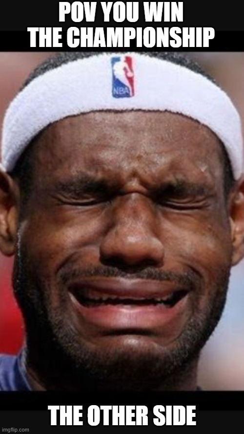 Crying Lebrons james | POV YOU WIN THE CHAMPIONSHIP; THE OTHER SIDE | image tagged in crying lebrons james | made w/ Imgflip meme maker