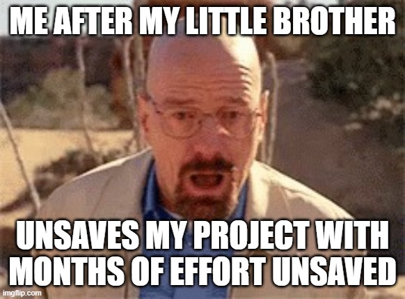 NO | ME AFTER MY LITTLE BROTHER; UNSAVES MY PROJECT WITH MONTHS OF EFFORT UNSAVED | image tagged in walter white | made w/ Imgflip meme maker