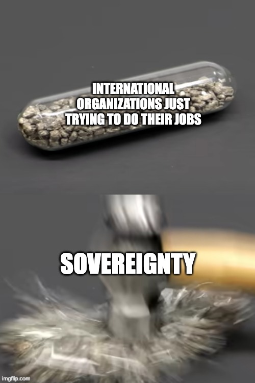 hammer breaking pill | INTERNATIONAL ORGANIZATIONS JUST TRYING TO DO THEIR JOBS; SOVEREIGNTY | image tagged in hammer breaking pill | made w/ Imgflip meme maker