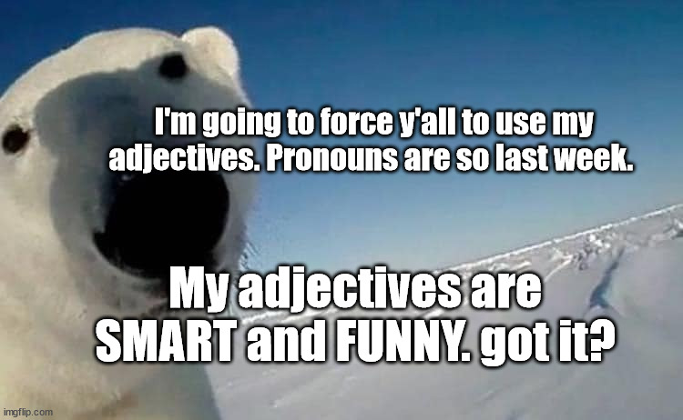 forced pronouns are out | I'm going to force y'all to use my adjectives. Pronouns are so last week. My adjectives are SMART and FUNNY. got it? | image tagged in transgender,funny | made w/ Imgflip meme maker