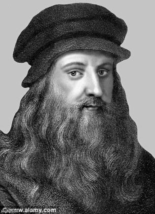 Leonardo Da Vinci | image tagged in leonardo da vinci | made w/ Imgflip meme maker
