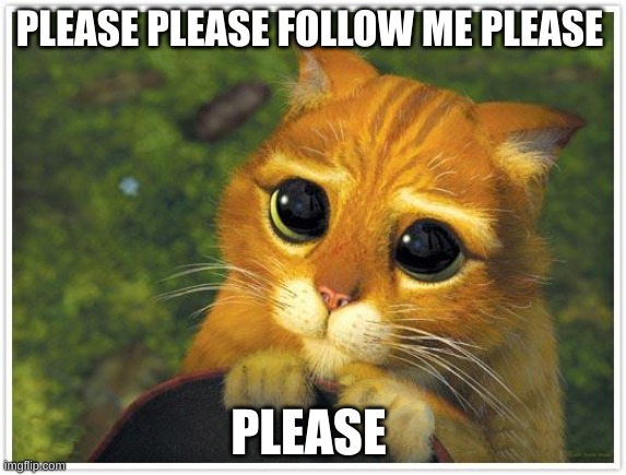 Shrek Cat | PLEASE PLEASE FOLLOW ME PLEASE; PLEASE | image tagged in memes,shrek cat | made w/ Imgflip meme maker