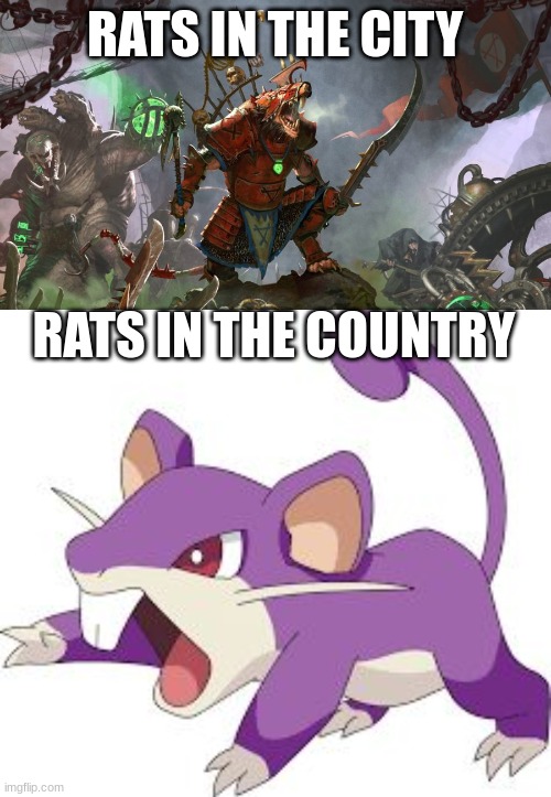 Rats in new york hit different | RATS IN THE CITY; RATS IN THE COUNTRY | image tagged in skaven,rattata,rats,rat | made w/ Imgflip meme maker