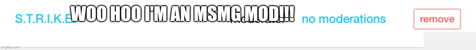 WOO HOO I'M AN MSMG MOD!!! | made w/ Imgflip meme maker