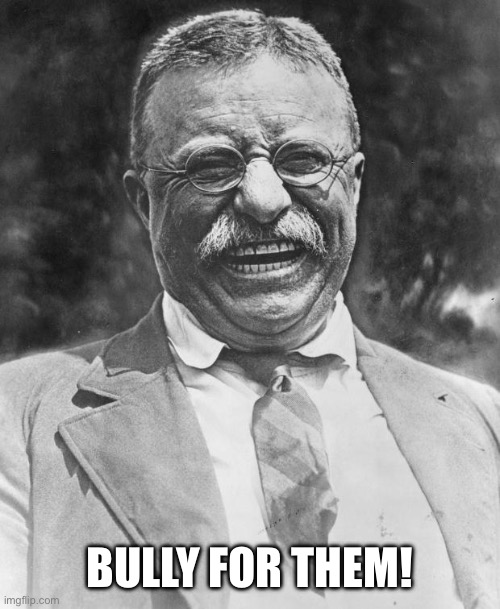 Teddy Roosevelt | BULLY FOR THEM! | image tagged in teddy roosevelt | made w/ Imgflip meme maker