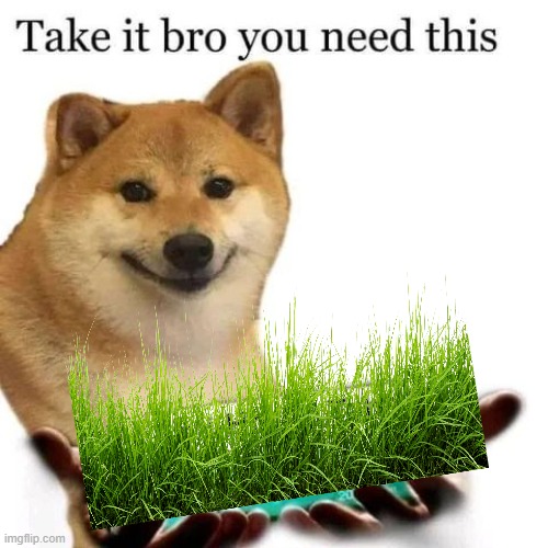 Take it bro you need this | image tagged in take it bro you need this | made w/ Imgflip meme maker