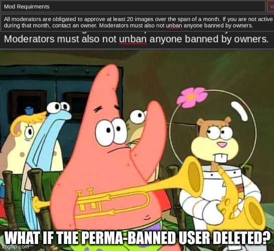 WHAT IF THE PERMA-BANNED USER DELETED? | image tagged in patrick raises hand | made w/ Imgflip meme maker