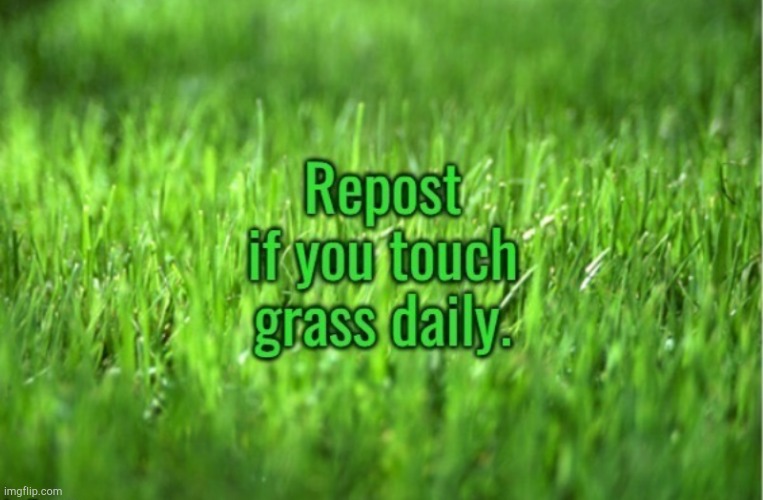 image tagged in memes,repost,funny,touch grass,the daily struggle,tntward | made w/ Imgflip meme maker