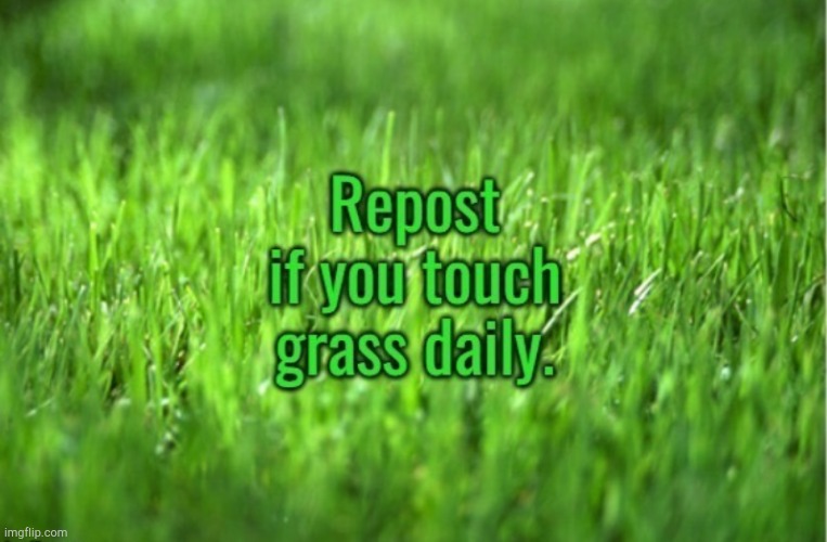 How to touch grass - Imgflip