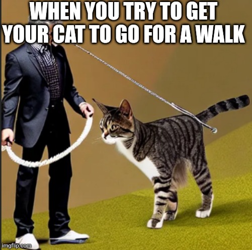 WHEN YOU TRY TO GET YOUR CAT TO GO FOR A WALK | made w/ Imgflip meme maker
