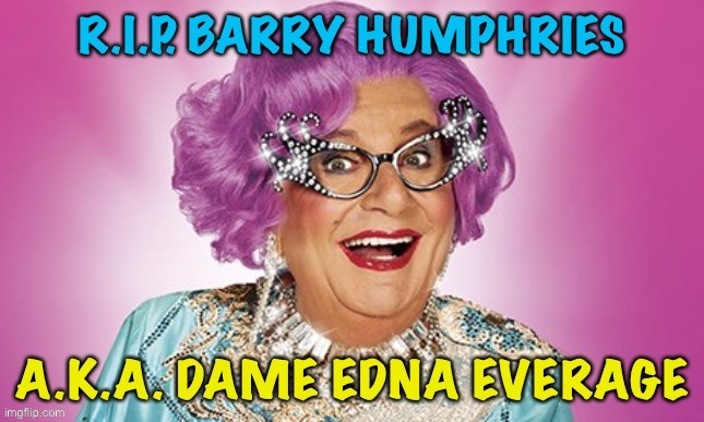 Given the current climate I think this is somewhat politicallll | image tagged in dame edna | made w/ Imgflip meme maker