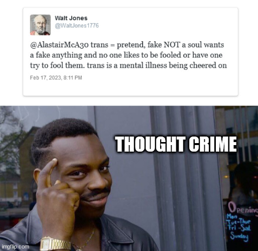 THOUGHT CRIME | image tagged in twitter,memes,roll safe think about it | made w/ Imgflip meme maker