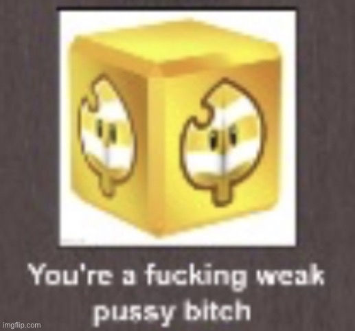 You’re a fucking weak pussy bitch | image tagged in you re a fucking weak pussy bitch | made w/ Imgflip meme maker