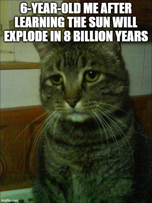5 day depression | 6-YEAR-0LD ME AFTER LEARNING THE SUN WILL EXPLODE IN 8 BILLION YEARS | image tagged in memes,depressed cat,space,sun,funny | made w/ Imgflip meme maker