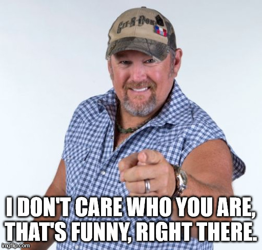 Larry the Cable Guy | I DON'T CARE WHO YOU ARE, THAT'S FUNNY, RIGHT THERE. | image tagged in larry the cable guy | made w/ Imgflip meme maker