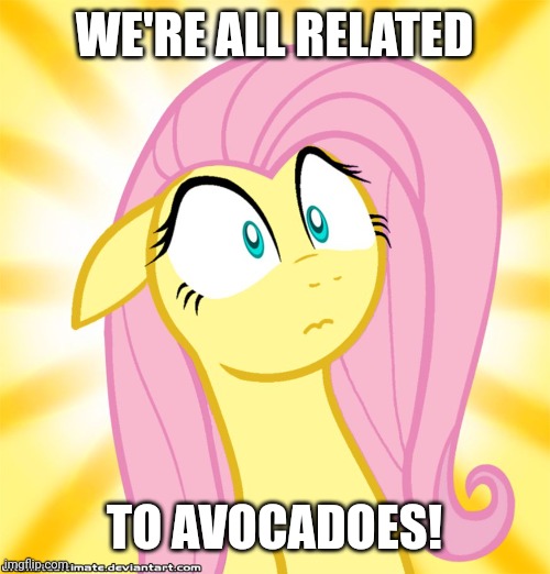Shocked Fluttershy | WE'RE ALL RELATED TO AVOCADOES! | image tagged in shocked fluttershy | made w/ Imgflip meme maker