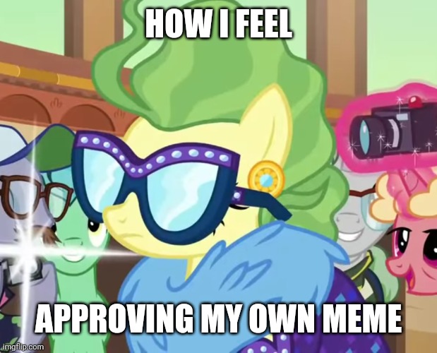 I approved this meme myself! | HOW I FEEL APPROVING MY OWN MEME | image tagged in impossibly rich fluttershy,memes,imgflip mods | made w/ Imgflip meme maker