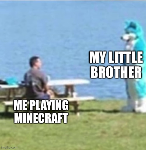 Furry Staring | MY LITTLE BROTHER; ME PLAYING MINECRAFT | image tagged in furry staring | made w/ Imgflip meme maker