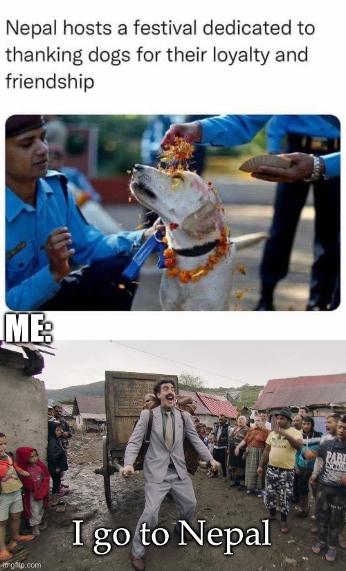 Thanking all the dogs | ME:; I go to Nepal | image tagged in borat i go to america,i am therefore leaving immediately for nepal,dogs,festival,thank you | made w/ Imgflip meme maker