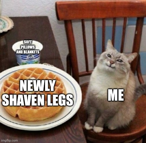 Cat likes their waffle | SOFT PILLOWS AND BLANKETS; ME; NEWLY SHAVEN LEGS | image tagged in cat likes their waffle,egg_irl | made w/ Imgflip meme maker