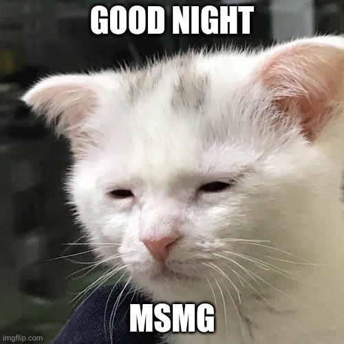I'm awake, but at what cost? | GOOD NIGHT; MSMG | image tagged in i'm awake but at what cost | made w/ Imgflip meme maker