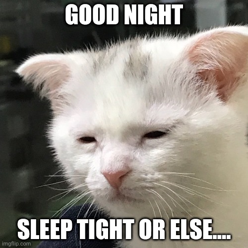 I'm awake, but at what cost? | GOOD NIGHT; SLEEP TIGHT OR ELSE.... | image tagged in i'm awake but at what cost | made w/ Imgflip meme maker