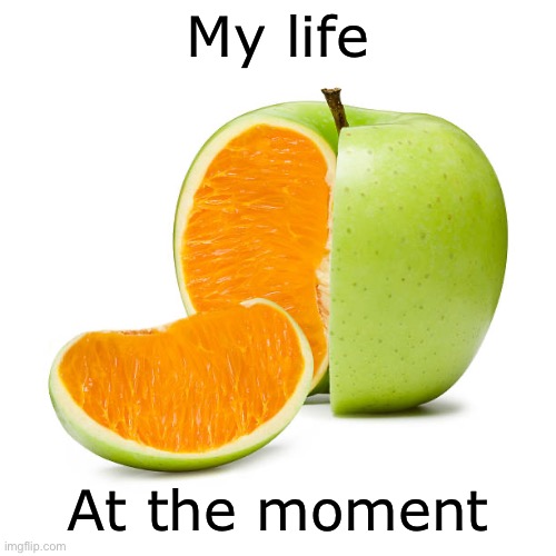 Not getting the expected outcomes | My life; At the moment | image tagged in apple,orange | made w/ Imgflip meme maker
