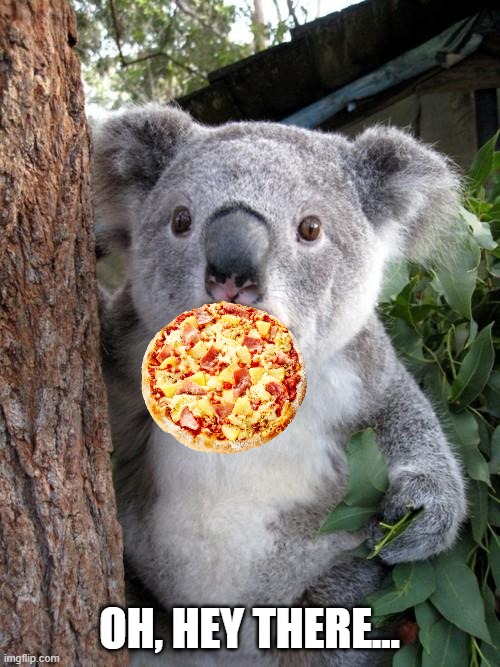 Surprised Koala Meme | OH, HEY THERE... | image tagged in memes,surprised koala | made w/ Imgflip meme maker